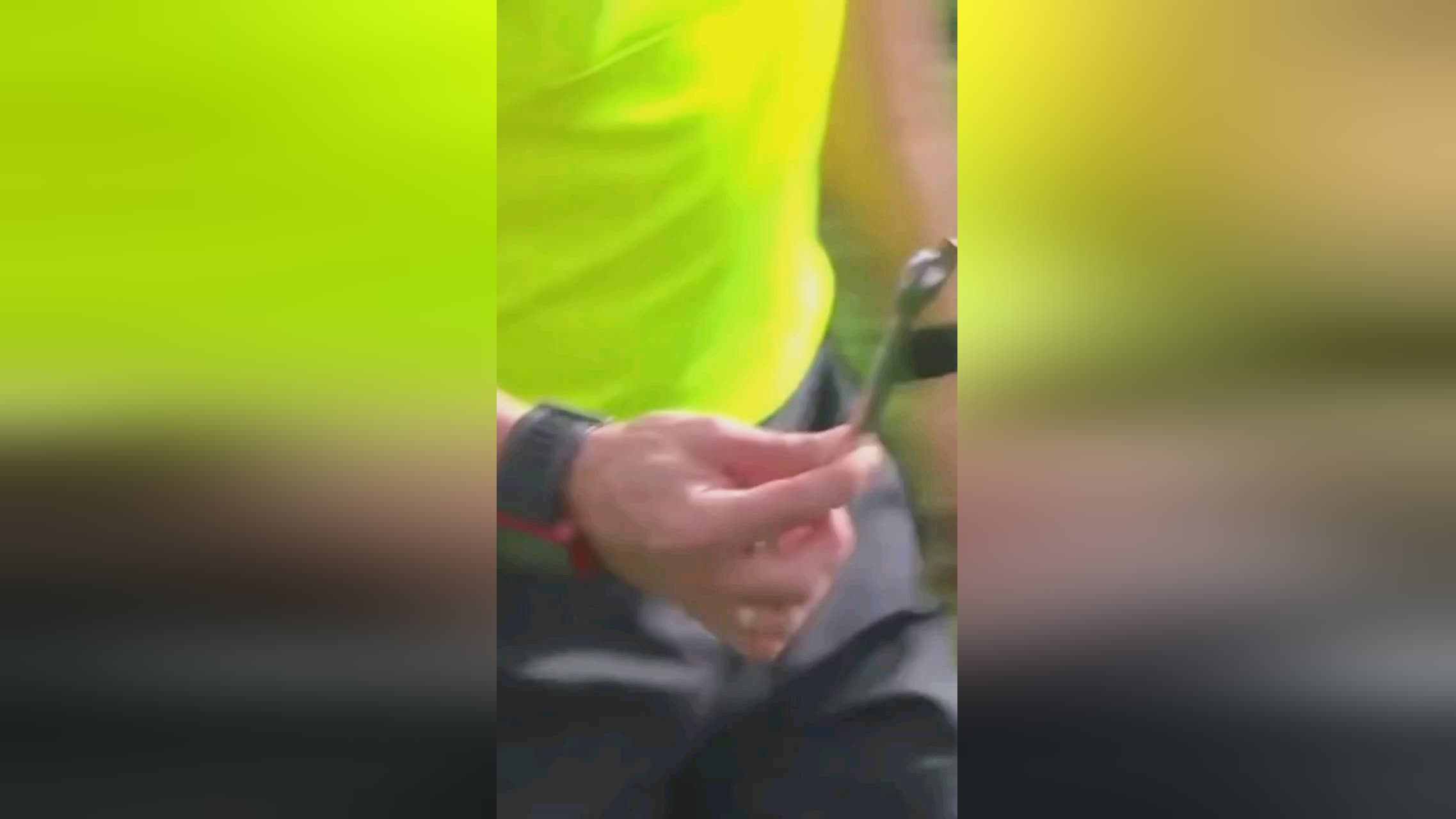 都是曼城的